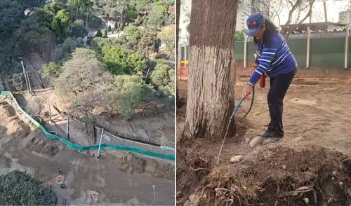 Vecinos denuncian deterioro de áreas verdes en remodelación del Campo de Marte en Lima