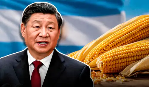 Un país de Sudamérica marca un hito histórico mediante el primer embarque de maíz hacia China tras superar diez años de barreras fitosanitarias.