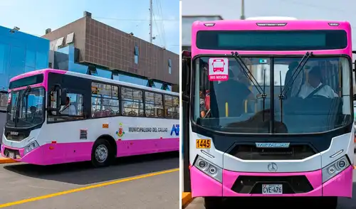 La flota del Corredor Rosado está compuesta por 30 buses impulsados por GNV.