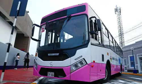Corredor Rosado pronto iniciará operaciones: sistema de transporte unirá Lima y el Callao por solo S/1.50 y podrás ver ubicación de los buses en tiempo real