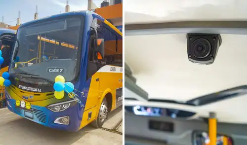 Nueva flota de buses ecoamigables