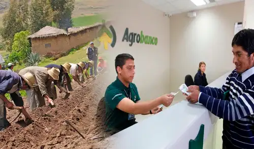 Puno, Cajamarca y Amazonas lideran la colocación de créditos agropecuarios del Fondo Agroperú.