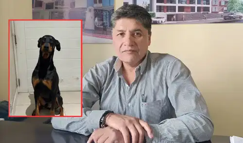 JNE vaca a alcalde de Arequipa por disponer que personal municipal cuide a su mascota "Flechita" JNE vaca a alcalde de Arequipa por disponer que personal municipal cuide a su mascota "Flechita"