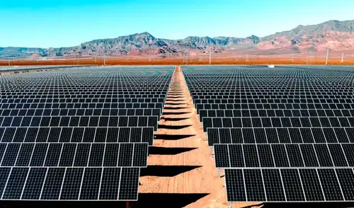 Las sombras de los paneles solares pueden tener un impacto positivo en el ecosistema. Foto: AdobeStock Las sombras de los paneles solares pueden tener un impacto positivo en el ecosistema. Foto: AdobeStock