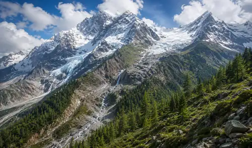 Las montañas más altas del mundo presentan cambios drásticos con el avance de vegetación en lugares que antes eran de hielo, una señal alarmante del desequilibrio climático global.