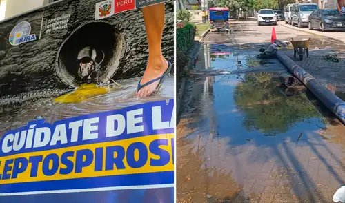 El aumento de casos por dengue y leptospirosis propició una respuesta de las autoridades sanitarias.