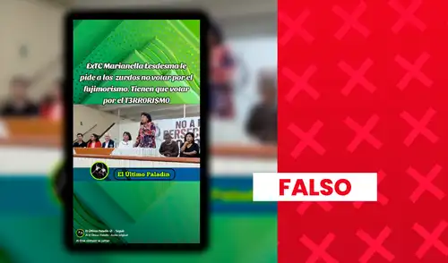 Es falso que la expresidenta del Tribunal Constitucional haya pedido votar por terroristas Es falso que la expresidenta del Tribunal Constitucional haya pedido votar por terroristas
