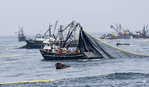 Embarcaciones industriales realizaron faenas de pesca dentro de la Reserva Nacional de Paracas, por lo que fueron sancionadas por Produce.