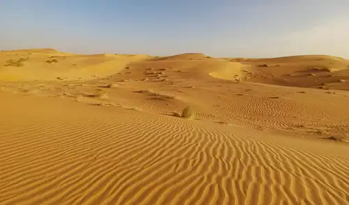 La Gran Muralla Verde se erige como el ambicioso proyecto ecológico que une a once países africanos para frenar la desertificación en el Sahel, con 8.000 km de barrera natural. La Gran Muralla Verde se erige como el ambicioso proyecto ecológico que une a once países africanos para frenar la desertificación en el Sahel, con 8.000 km de barrera natural.