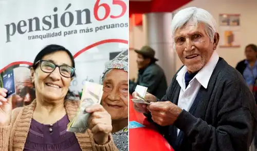 pension 65, bono de pension 65, bono de 350 pension 65