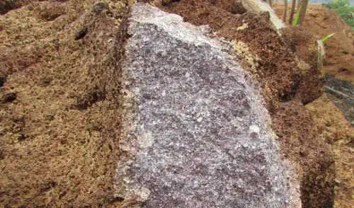 Científicos descubren un antiguo sistema volcánico en Brasil, de 1.900 millones de años. Científicos descubren un antiguo sistema volcánico en Brasil, de 1.900 millones de años.
