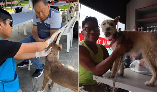 Los vecinos podrán acceder a estos servicios sin costo y recibir orientación especializada para el cuidado adecuado de sus mascotas.