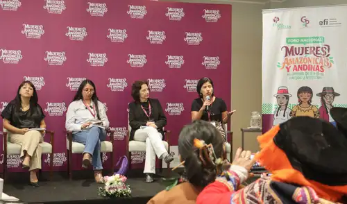 Virtuales senadoras y diputada respaldan demandas de lideresas indígenas.