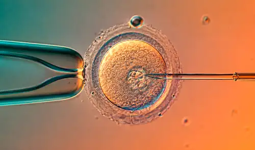 El genetista Dieter Egli y su equipo científico modificaron los genes que regulan el colesterol LDL y la hemoglobina en el torrente sanguíneo.
