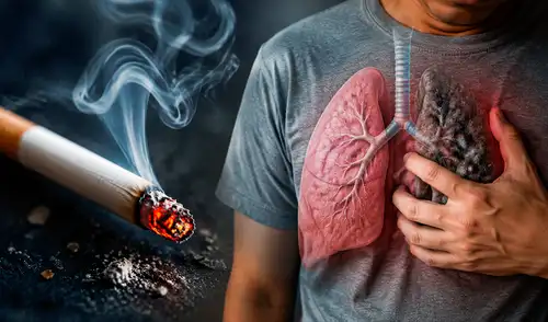 Científicos chilenos han identificado cómo la exposición al humo del tabaco daña los pulmones y el corazón, enfocándose en el receptor P2Y6.