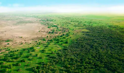 La Gran Muralla Verde utiliza un enfoque integrado para restaurar la diversidad de ecosistemas en el paisaje del norte de África. Foto: Great Green Wall Initiative La Gran Muralla Verde utiliza un enfoque integrado para restaurar la diversidad de ecosistemas en el paisaje del norte de África. Foto: Great Green Wall Initiative