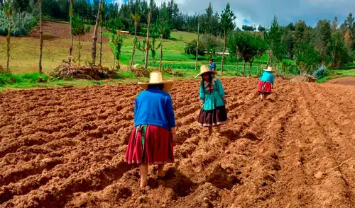 Mercagro: Proyecto de inversión financiado con préstamo internacional de US$ 26 millones.