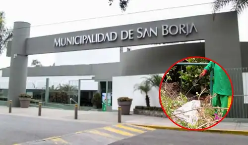 Poder Judicial impone pena a exfuncionarios por negociación incompatible en licitación de recolección de maleza Poder Judicial impone pena a exfuncionarios por negociación incompatible en licitación de recolección de maleza