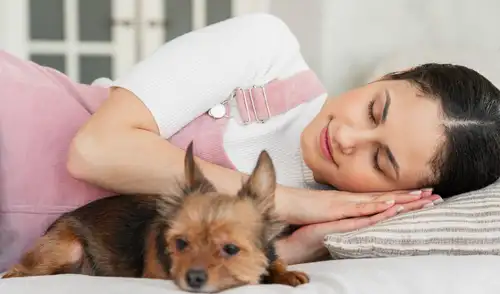 Compartir la cama con mascotas es una práctica común que se relaciona con beneficios emocionales, como la seguridad y el bienestar.