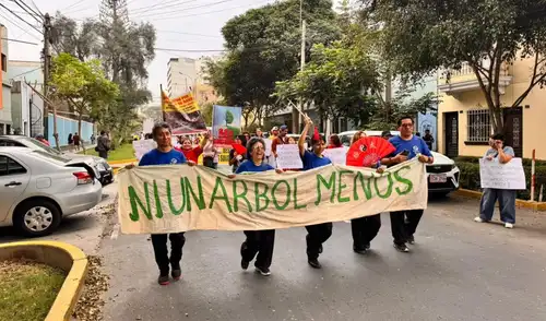 Los manifestantes exigen un plan de emergencia forestal, señalando daños en más de veinte árboles que podrían comprometer su salud a largo plazo. "Les están quitando la vida": Vecinos marchan en defensa del Campo de Marte y denuncian daños a más de 20 árboles
