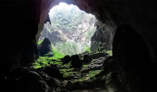 La cueva Hang Son Doong, ubicada en Vietnam, es la más grande del mundo y alberga ecosistemas únicos y vestigios prehistóricos. La cueva Hang Son Doong, ubicada en Vietnam, es la más grande del mundo y alberga ecosistemas únicos y vestigios prehistóricos.