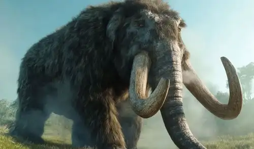 Un hallazgo paleontológico en Junín, Perú, recupera cráneos de mastodontes, revelando pistas sobre estos gigantes prehistóricos que habitaron Sudamérica. Un hallazgo paleontológico en Junín, Perú, recupera cráneos de mastodontes, revelando pistas sobre estos gigantes prehistóricos que habitaron Sudamérica.