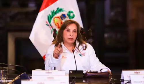 Expresidenta alegó que no pudo presentar su debida defensa ante el Congreso. Foto: difusión Dina Boluarte | Poder Judicial