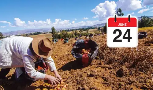 El 24 de junio, Día del Campesino en Perú, no será feriado nacional ni día no laborable, según el Decreto Supremo n.º 075-2026-PCM. ¿Este 24 de junio es feriado a nivel nacional por el Día del Campesino? Revisa las fechas oficiales publicadas en El Peruano