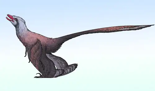Un dinosaurio con plumas tenía una cola parecida a la de un pavo real. Foto: Connor Ashbridge