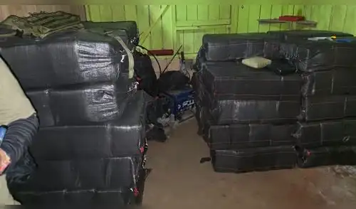Hallan casi 10 toneladas de marihuana en Loreto. Hallan casi 10 toneladas de marihuana en Loreto.