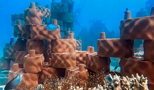 Los corales colonizan el arrecife artificial fabricados por una empresa Suiza. Foto: Rrreefs Los corales colonizan el arrecife artificial fabricados por una empresa Suiza. Foto: Rrreefs