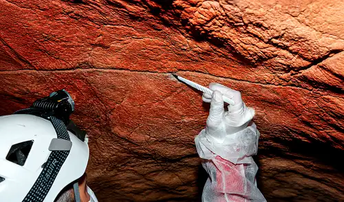 Un equipo internacional de científicos logró recuperar ADN prehistórico directamente de las paredes de cuevas con arte rupestre, revelando datos biológicos de milenios de antigüedad. Un equipo internacional de científicos logró recuperar ADN prehistórico directamente de las paredes de cuevas con arte rupestre, revelando datos biológicos de milenios de antigüedad.
