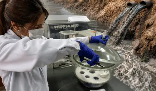Estudiante representará a Perú en congreso de ciencia en Argentina Universidad Agraria La Molina
