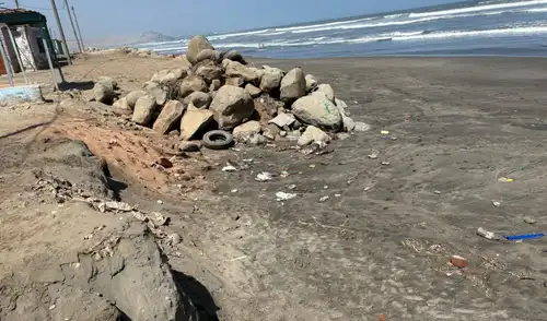 Se reporta la muerte de aves en playas y reservas del norte peruano Fenómeno El Niño