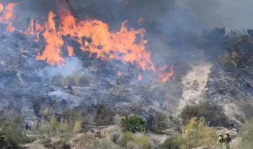 España enfrenta su peor tragedia por incendios forestales con al menos 12 muertos y 23 desaparecidos en Los Gallardos, Almería.
