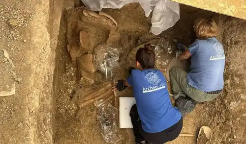 Arqueólogos descubren el carro del príncipe guerrero en Italia. Foto: Superintendencia de Arqueología de Ancona, Pesaro y Urbino