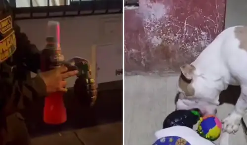 La dueña del juguete, quien regresaba de comprar una cama para su perro, explicó el malentendido en un video de TikTok. Las autoridades descartaron cualquier conexión con actividades delictivas tras tomar su declaración.
