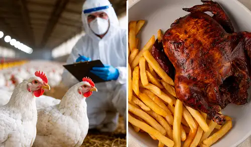 Las aves de corral infectadas con el virus fueron sacrificadas como medida preventiva. Las aves de corral infectadas con el virus fueron sacrificadas como medida preventiva.