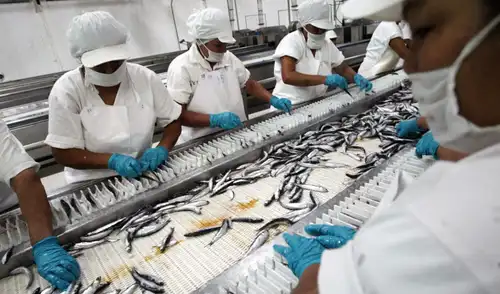PBI peruano desacelera a 1,8% en mayo tras desplome de la pesca y caída de la manufactura. PBI peruano desacelera a 1,8% en mayo tras desplome de la pesca y caída de la manufactura.
