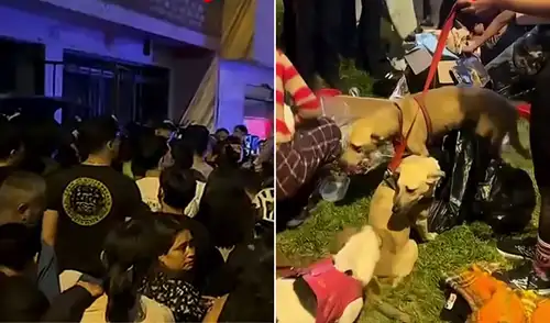 Los residentes forzaron el acceso al inmueble al percibir un fuerte olor, encontrando un ambiente hacinado y perros desnutridos. Los residentes forzaron el acceso al inmueble al percibir un fuerte olor, encontrando un ambiente hacinado y perros desnutridos. Serenazgo confirmó el rescate tras inicial confusión de robo.