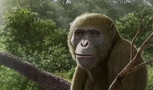Reconstrucción de Masripithecus moghraensis. Foto: Profesor Hesham Sallam Reconstrucción de Masripithecus moghraensis. Foto: Profesor Hesham Sallam