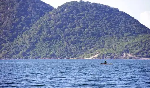 En el lago Malawi los investigadores encontraron una especie que sobrevive en condiciones extremas: Foto: pilesasmiles En el lago Malawi los investigadores encontraron una especie que sobrevive en condiciones extremas: Foto: pilesasmiles