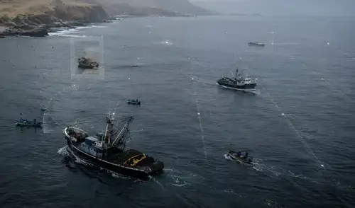 Un informe presentado por DAR propone que los gobiernos regionales incorporen sistemas de monitoreo satelital para mejorar la fiscalización en las primeras millas marinas,
