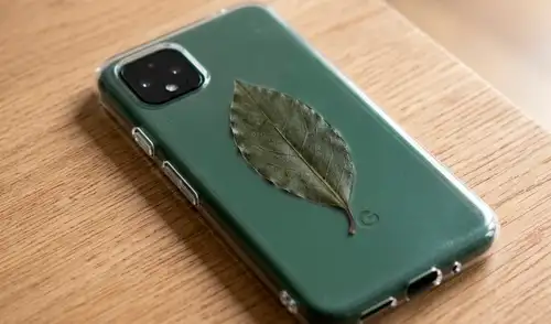 Una tendencia viral en TikTok e Instagram invita a colocar una hoja de laurel en la funda del celular, simbolizando prosperidad y enfoque en las metas diarias.