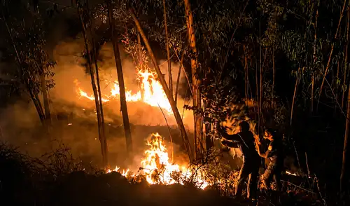 De acuerdo con las autoridades, la provincia de Santa es la más afectada por los incendios forestales.