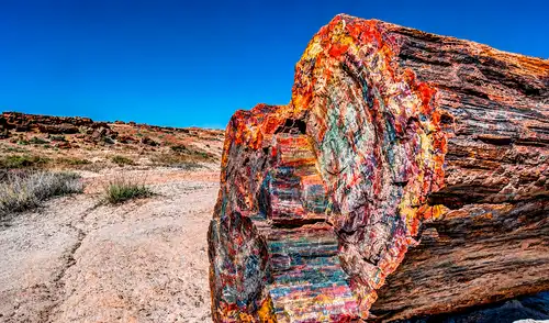 El Parque Nacional del Bosque Petrificado exhibe troncos petrificados con vivos colores gracias a la permineralización, evidenciando cambios químicos en el subsuelo.