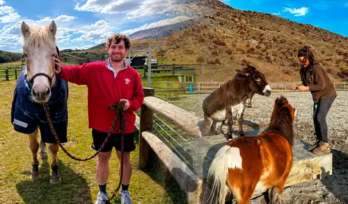 Nueva Zelanda lanza una convocatoria de voluntariado en Kind Farm, que ofrece hospedaje gratuito para quienes apoyen el cuidado de animales rescatados en la Isla Sur.