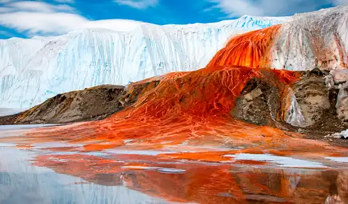 Las "Cataratas de Sangre" de la Antártida se estudian nuevamente. Un reciente análisis revela microorganismos marinos en el glaciar Taylor, aislados durante 1,5 millones de años.