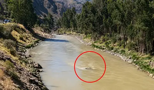 Las labores de búsqueda continúan para encontrar a los ocupantes desaparecidos. Participan la Policía Nacional, equipos de emergencia y residentes locales en la búsqueda. Carretera Central: auto colectivo que salió de Huaycán a Jauja cayó al río Mantaro y deja dos personas desaparecidas