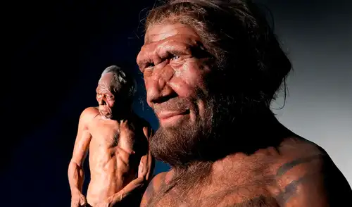 La imagen muestra una reconstrucción de un neandertal en primer plano y de un Homo sapiens al fondo. Foto: Natural History Museum